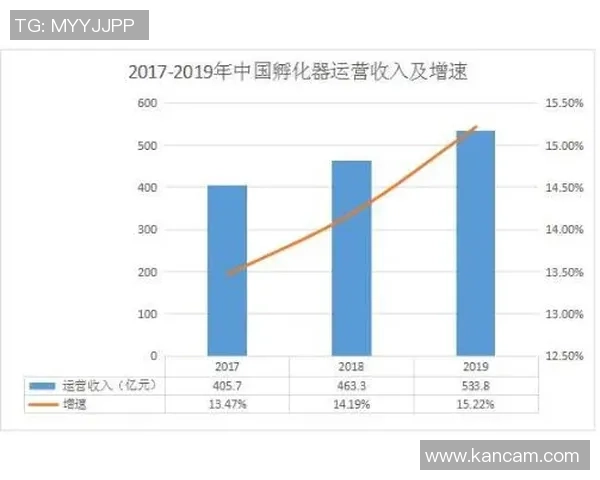 武汉羽毛球队技术对比深度解析与发展趋势展望